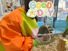 -怪兽屋·羊驼·猫咖·狗咖(俊华广场店)