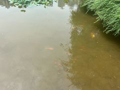 -龙头寺公园