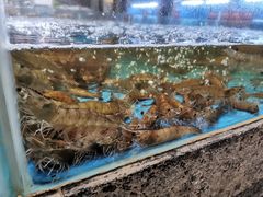 -徐记海鲜(梅溪新天地店)