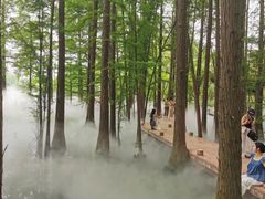 -东湖落雁景区