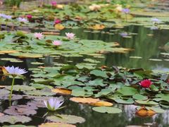 -国家植物园南园