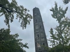 -上海佘山国家森林公园天马山园