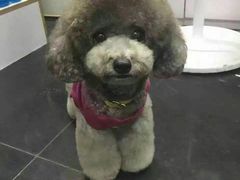 -沐沐家宠物(成寿寺店)