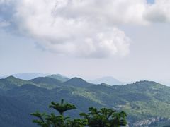 -武陵山森林公园