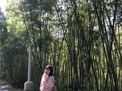 -东部华侨城