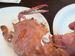 -单家老院·院子里的青岛菜(沙子口店)