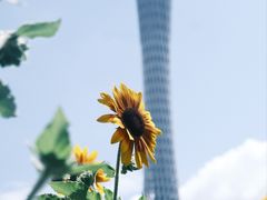 -海心沙亚运公园