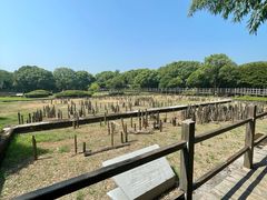 -河姆渡遗址博物馆