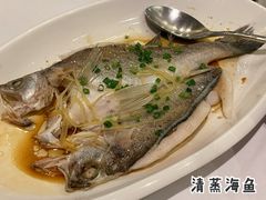 -京粤荟(海王银河科技大厦店)
