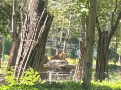 -秦皇岛野生动物园