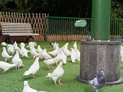 -成都欢乐谷