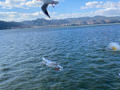 -海埂大坝