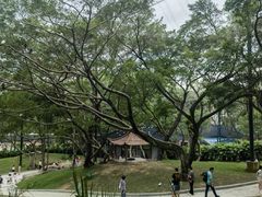 -紫马岭公园
