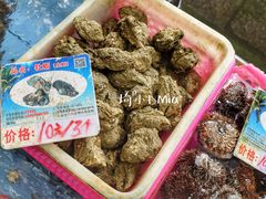 -春园海鲜广场D区6号(钟姐海鲜加工店)
