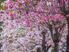 -文华公园(禅城区)