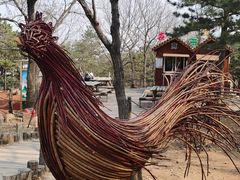 -北京西山国家森林公园