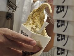 -野人先生现做冰淇淋(西安赛格店)