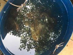 -西江河鲜·趣苑酒楼(鼎湖店)