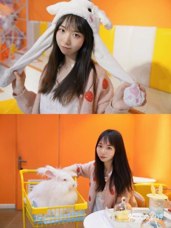 成都探店|春熙路首家安哥拉萌兔馆被融化噜!