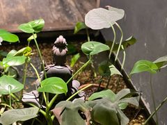 -邈墨茶馆(凤起路店)