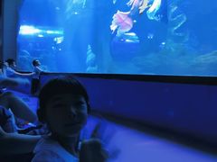 -多彩贵州城极地海洋世界