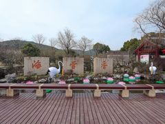-香雪海