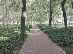-东北农业大学