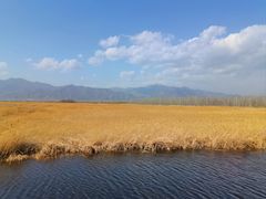 -野鸭湖国家湿地公园