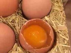 -上膳源有机蔬菜(三泉路店)