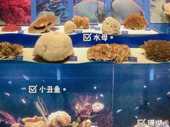 -浙江自然博物院(杭州馆)