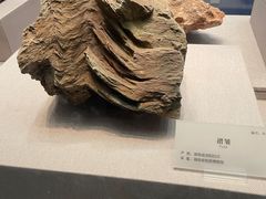 -湖南省地质博物馆
