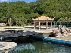 -广东惠东海龟国家级自然保护区