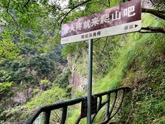 -龙湾潭国家森林公园