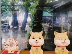 -柴犬高等学院·狗咖·柴犬售卖·宠物训练