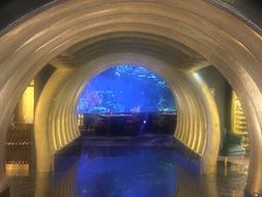 -迪拜帆船酒店海底餐厅