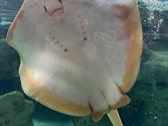 -珠海长隆海洋王国