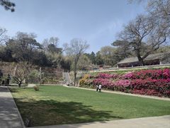 -红螺寺