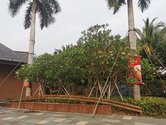 -三亚湾红树林度假世界(木棉酒店)
