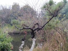 -天鹅湖体育公园