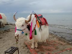 -青海湖国家重点风景名胜区