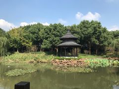 -天目湖山水园