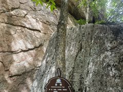 -汤旺河林海奇石景区