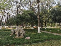 -汉水公园
