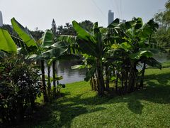 -晓港公园