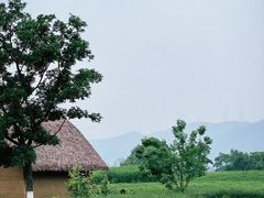 -良渚古城遗址公园