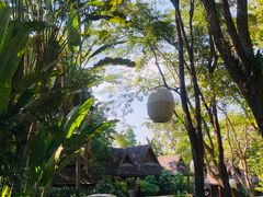 -四季酒店下午茶