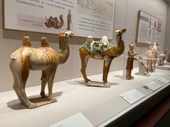 -深圳博物馆(古代艺术馆)