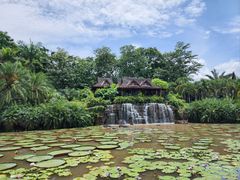 -中国科学院西双版纳热带植物园