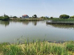-贡湖湾湿地公园