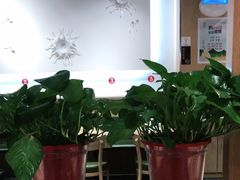 大堂-杨翔豆皮涮牛肚(华阳城店)